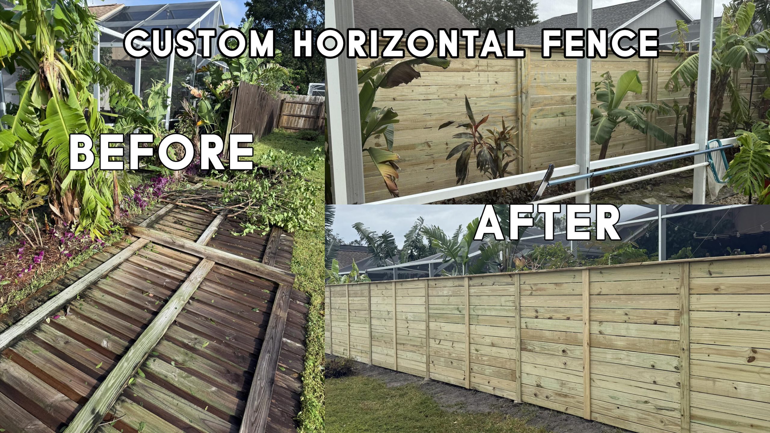 fence